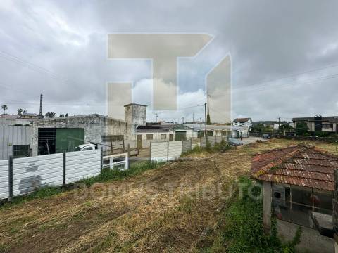 Terreno Premium na Maia — 4.893m² de Potencial numa Localização de Excelência