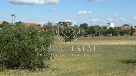 Terreno Rústico  Venda em Azoia de Cima e Tremês,Santarém