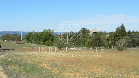 Terreno Rústico  Venda em Azoia de Cima e Tremês,Santarém