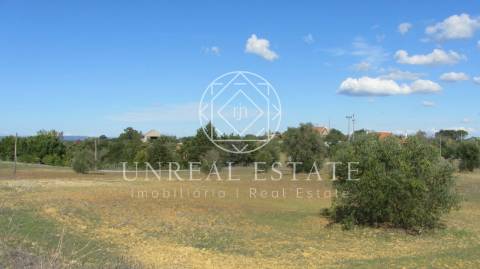 Terreno Rústico  Venda em Azoia de Cima e Tremês,Santarém