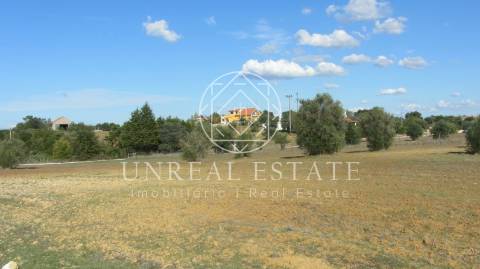 Terreno Rústico  Venda em Azoia de Cima e Tremês,Santarém
