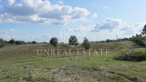 Terreno Rústico  Venda em Azoia de Cima e Tremês,Santarém