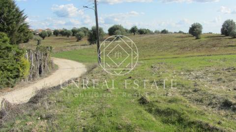 Terreno Rústico  Venda em Azoia de Cima e Tremês,Santarém
