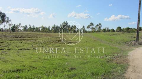 Terreno Rústico  Venda em Azoia de Cima e Tremês,Santarém
