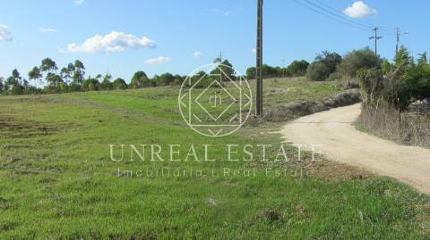 Terreno Rústico  Venda em Azoia de Cima e Tremês,Santarém