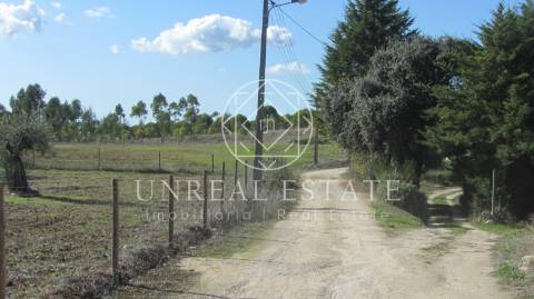 Terreno Rústico  Venda em Azoia de Cima e Tremês,Santarém