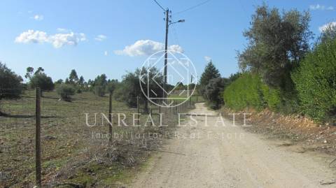 Terreno Rústico  Venda em Azoia de Cima e Tremês,Santarém