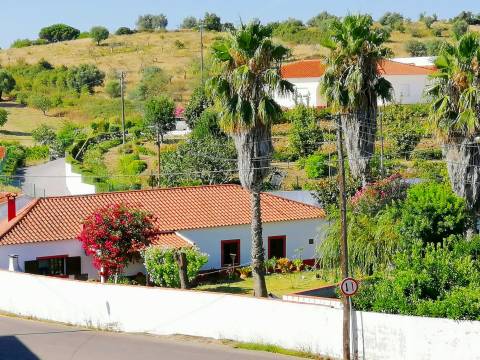 Terreno Urbano para Construção na Brogueira