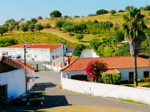 Terreno Urbano para Construção na Brogueira
