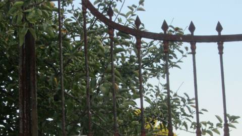 Terreno Urbano para Construção na Brogueira