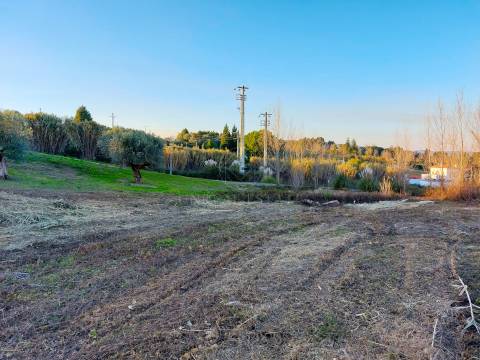 Lotes de Terreno para construção , localizados na Urbanização do Cerejal, Torres Novas
