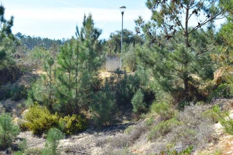 Lote de Terreno para construção de moradia em banda, localizado na Urb. da Ribeira do Marchante