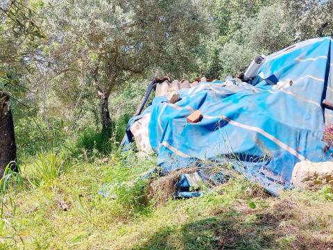 Terreno Rústico  Venda em Assentiz,Torres Novas