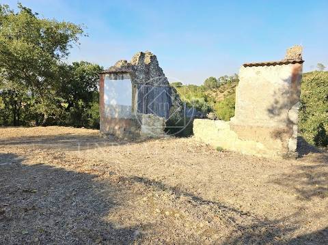 Terreno Misto  Venda em Torres Novas (São Pedro), Lapas e Ribeira Branca,Torres Novas