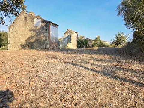 Terreno Misto  Venda em Torres Novas (São Pedro), Lapas e Ribeira Branca,Torres Novas