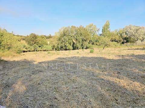 Terreno Misto  Venda em Torres Novas (São Pedro), Lapas e Ribeira Branca,Torres Novas