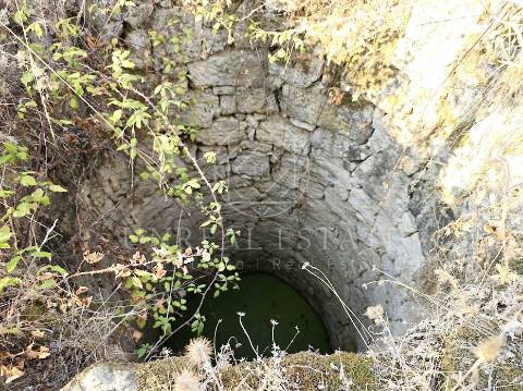 Terreno Misto  Venda em Torres Novas (São Pedro), Lapas e Ribeira Branca,Torres Novas