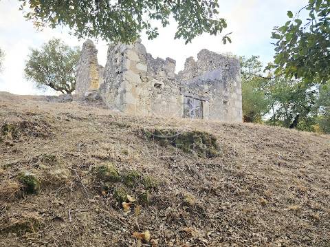 Terreno Misto  Venda em Torres Novas (São Pedro), Lapas e Ribeira Branca,Torres Novas