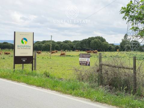 Lote de Terreno  Venda em Brogueira, Parceiros de Igreja e Alcorochel,Torres Novas