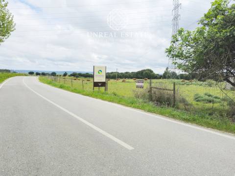 Lote de Terreno  Venda em Brogueira, Parceiros de Igreja e Alcorochel,Torres Novas