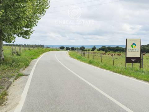 Lote de Terreno  Venda em Brogueira, Parceiros de Igreja e Alcorochel,Torres Novas