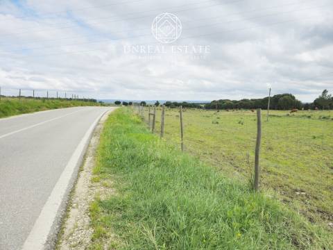 Lote de Terreno  Venda em Brogueira, Parceiros de Igreja e Alcorochel,Torres Novas