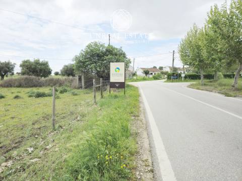 Lote de Terreno  Venda em Brogueira, Parceiros de Igreja e Alcorochel,Torres Novas