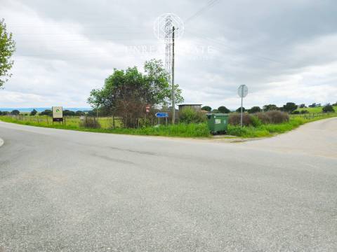 Lote de Terreno  Venda em Brogueira, Parceiros de Igreja e Alcorochel,Torres Novas