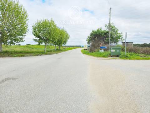 Lote de Terreno  Venda em Brogueira, Parceiros de Igreja e Alcorochel,Torres Novas