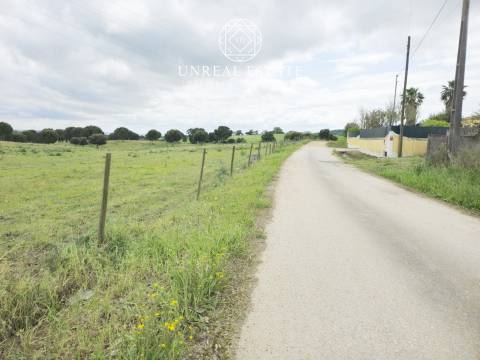 Lote de Terreno  Venda em Brogueira, Parceiros de Igreja e Alcorochel,Torres Novas
