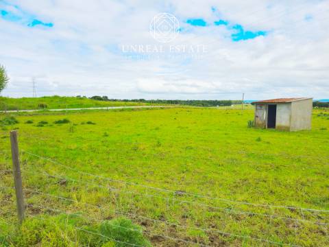 Lote de Terreno  Venda em Brogueira, Parceiros de Igreja e Alcorochel,Torres Novas