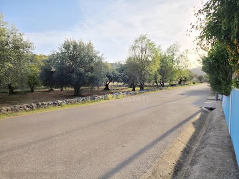 Moradia Isolada V5 em Vale da Serra, Pedrógão – Torres Novas