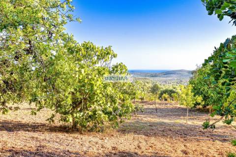 Deslumbrante Villa T4 em amplo terreno com ruínas em Loulé