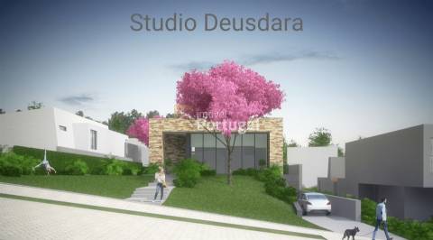 Lote de Terreno para construção de Moradia Individual em Palmeira!