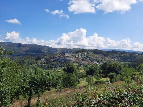 Terreno Rústico  Venda em Sobradelo da Goma,Póvoa de Lanhoso
