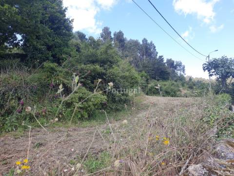 Terreno Rústico  Venda em Sobradelo da Goma,Póvoa de Lanhoso