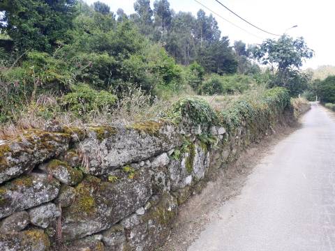 Terreno Rústico  Venda em Sobradelo da Goma,Póvoa de Lanhoso