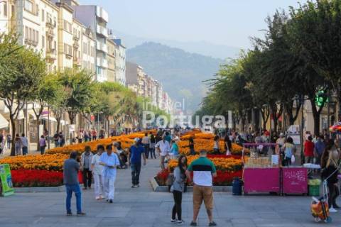 Venda Apartamento T4+2 com 200m²  na Av. da Liberdade