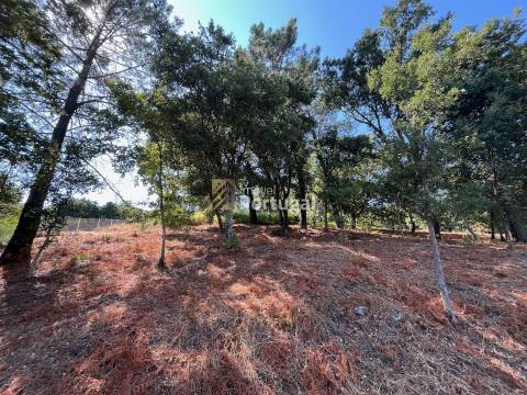 Excelente Preço - Terreno com 3.554m² e Potencial de Construção