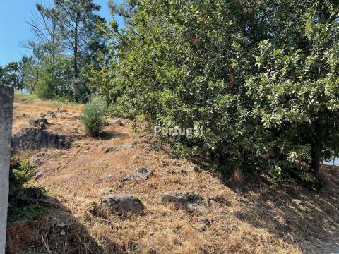 Excelente Preço - Terreno com 3.554m² e Potencial de Construção