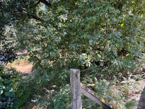 Excelente Preço - Terreno com 3.554m² e Potencial de Construção