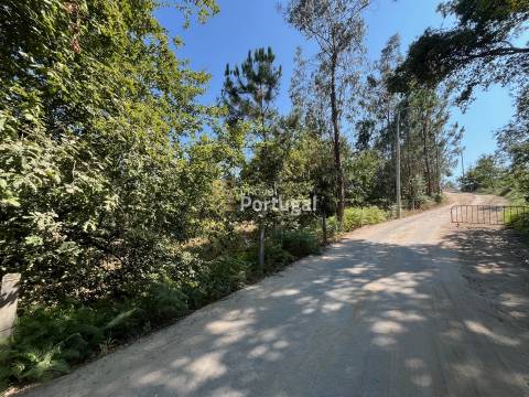 Excelente Preço - Terreno com 3.554m² e Potencial de Construção