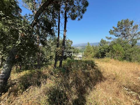 Excelente Preço - Terreno com 3.554m² e Potencial de Construção