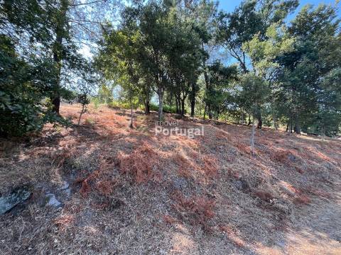 Excelente Preço - Terreno com 3.554m² e Potencial de Construção