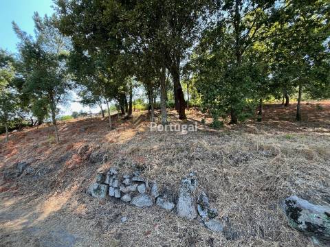 Excelente Preço - Terreno com 3.554m² e Potencial de Construção