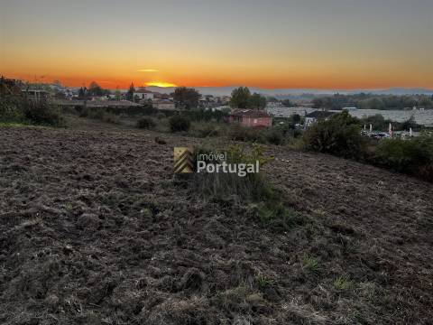 Artigos Rústico e Urbano - Ruína & Terreno para construção com 8,7ha
