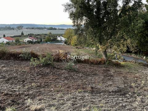 Artigos Rústico e Urbano - Ruína & Terreno para construção com 8,7ha