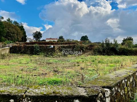 Artigos Rústico e Urbano - Ruína & Terreno para construção com 8,7ha