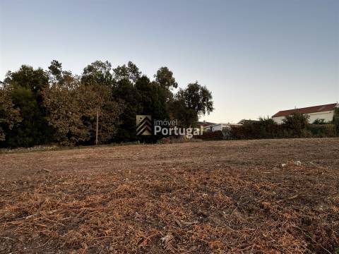 Artigos Rústico e Urbano - Ruína & Terreno para construção com 8,7ha