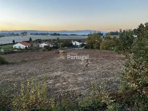 Artigos Rústico e Urbano - Ruína & Terreno para construção com 8,7ha